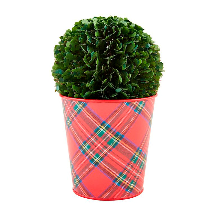 Boxwood Tartan Pots