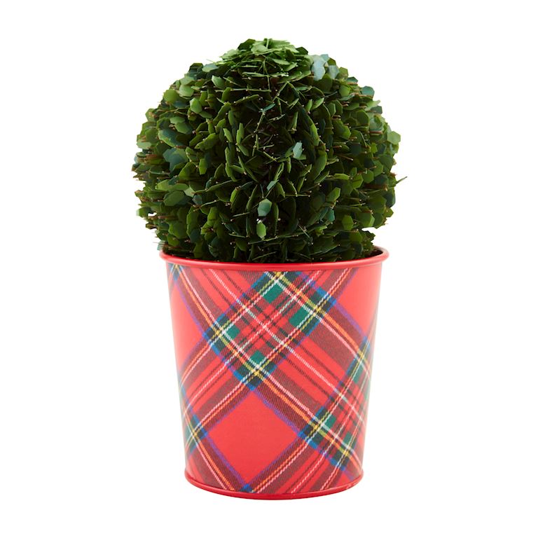 Boxwood Tartan Pots