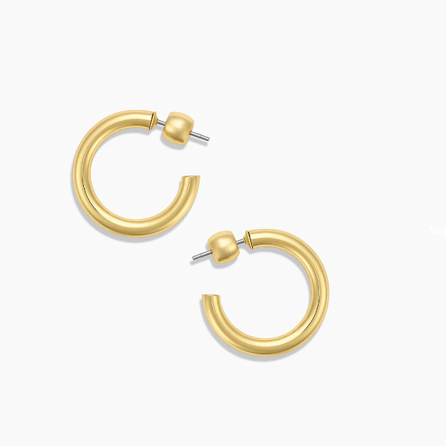 Carter Small Hoops